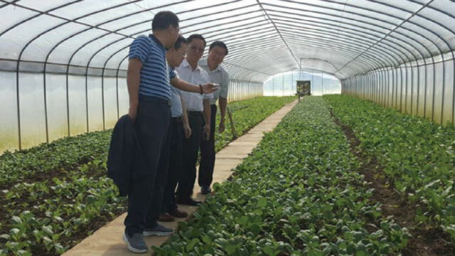 A greenhouse at Hua Ho Agricultural Farm